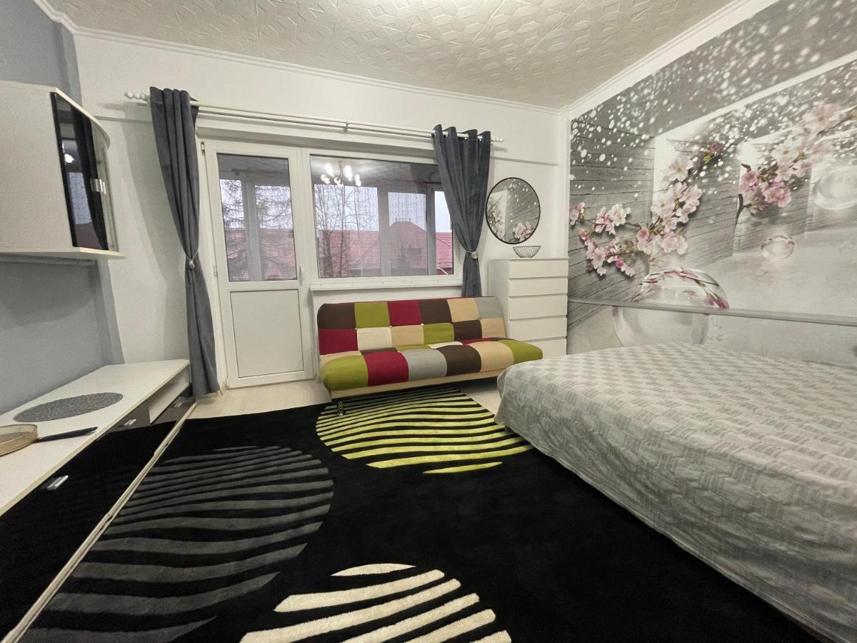 Central Colors Studio Petroşani Extérieur photo